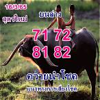 หวยควาย